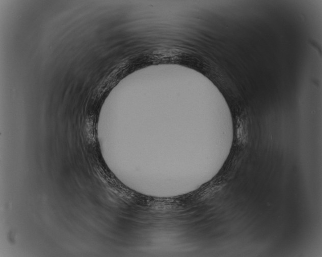 X0000103300819200809261311