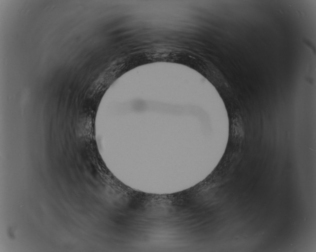 X0000103300820200809261311