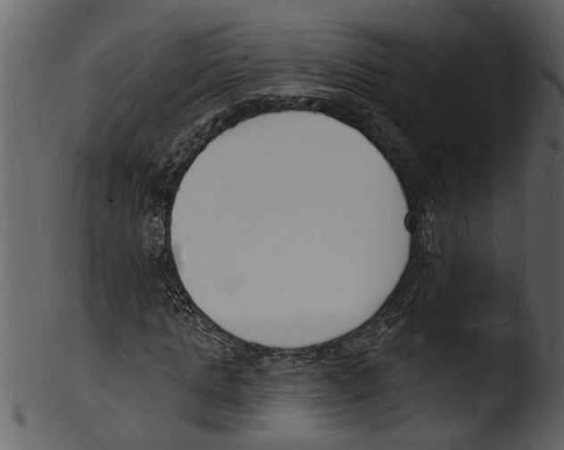 X0000103300821200809261311