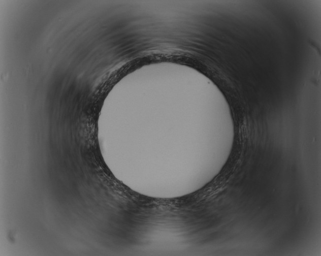 X0000103300822200809261311