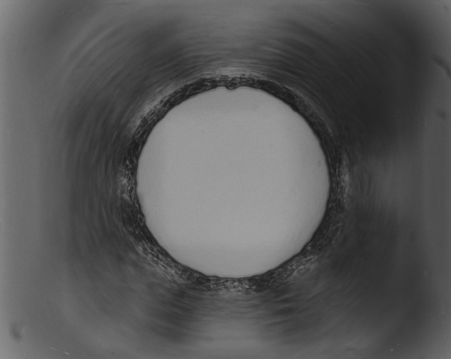 X0000103300823200809261311