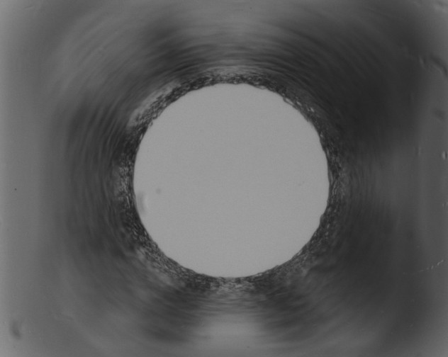 X0000103300824200809261311