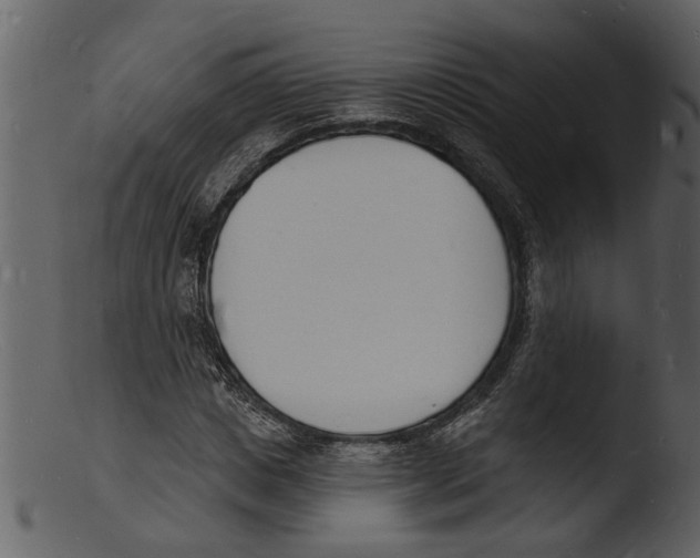 X0000103300825200809261311