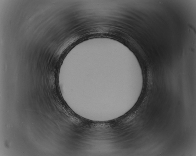 X0000103300826200809261311
