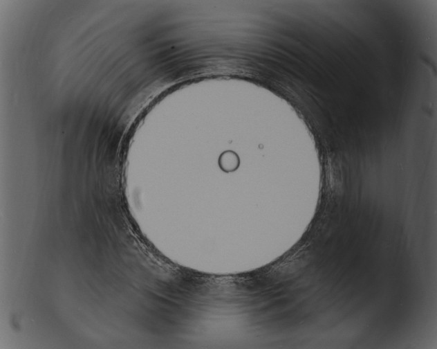 X0000103300828200809261311
