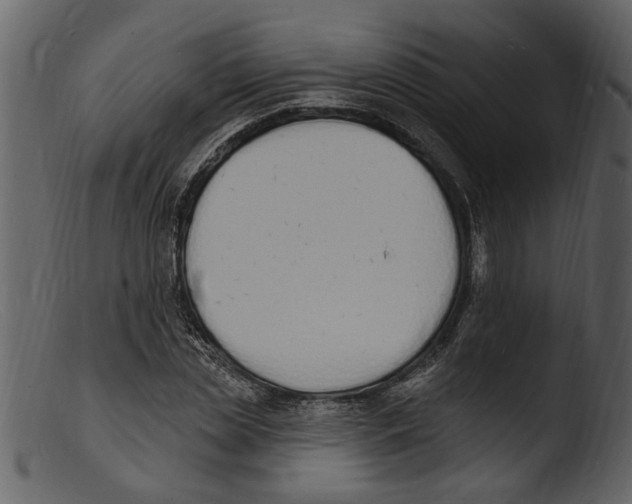 X0000103300829200809261311