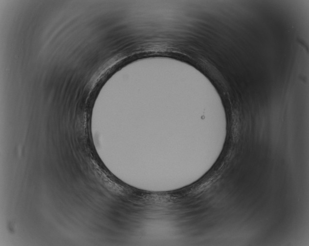 X0000103300831200809261311