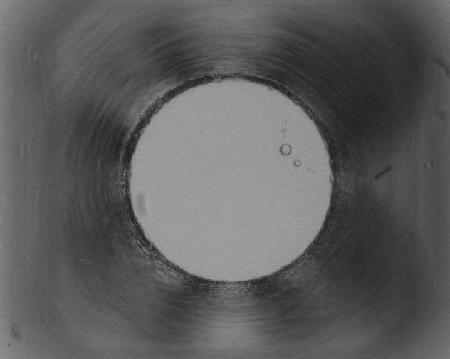 X0000103300832200809261311