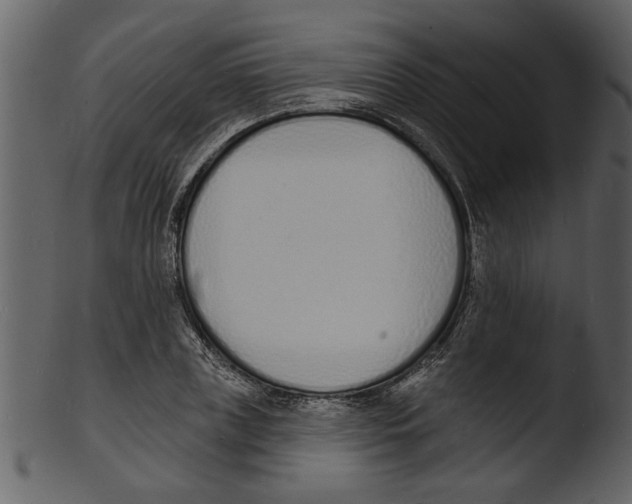 X0000103300835200809261311