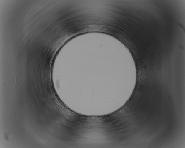 X0000103300836200809261311