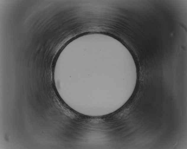 X0000103300837200809261311