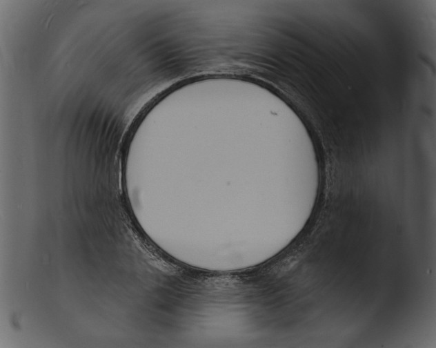 X0000103300838200809261311