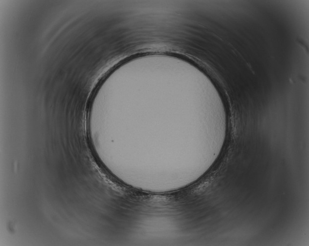 X0000103300839200809261311