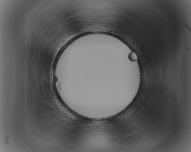 X0000103300840200809261311