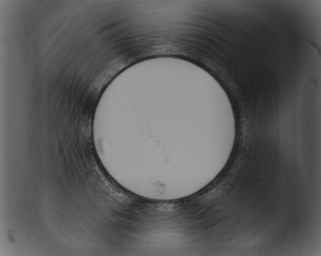 X0000103300841200809261311