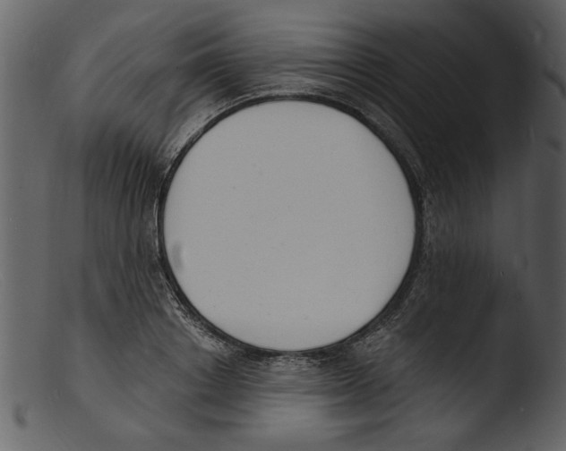 X0000103300842200809261311