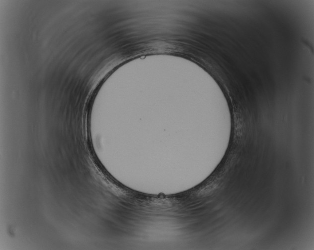 X0000103300843200809261311