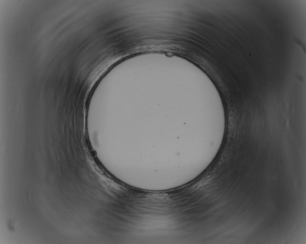 X0000103300844200809261311