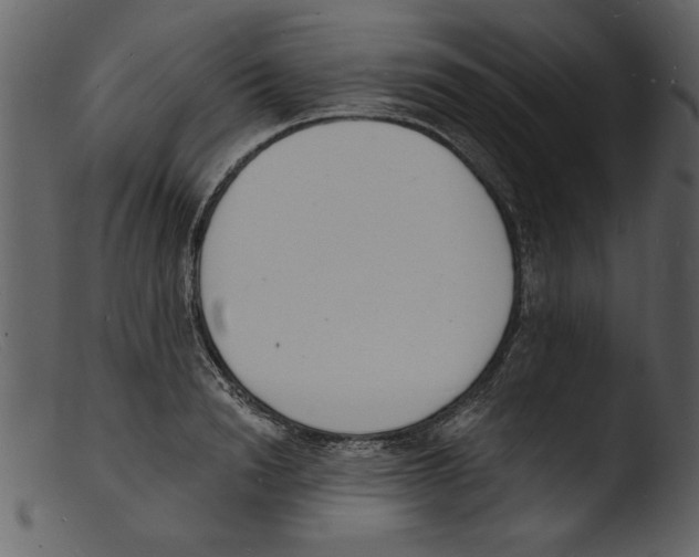 X0000103300846200809261311