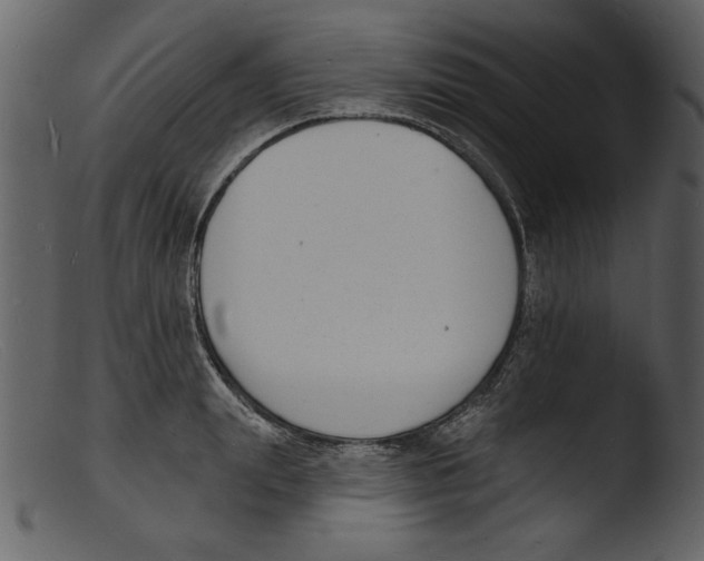X0000103300847200809261311