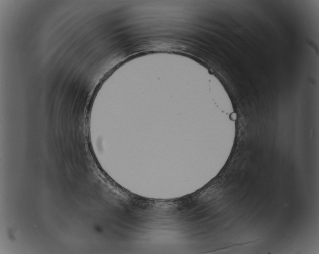 X0000103300848200809261311