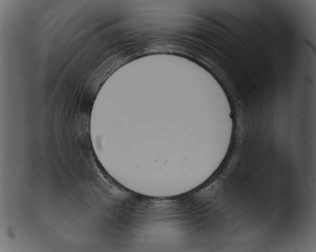 X0000103300849200809261312