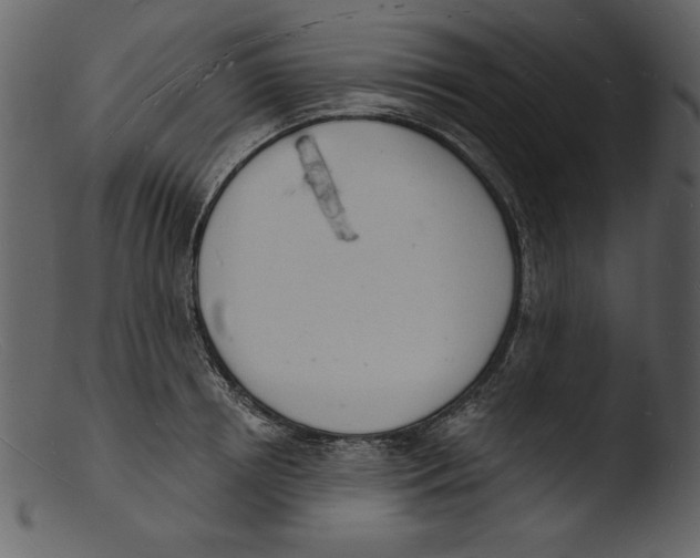 X0000103300850200809261312