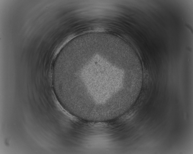 X0000103300851200809261312