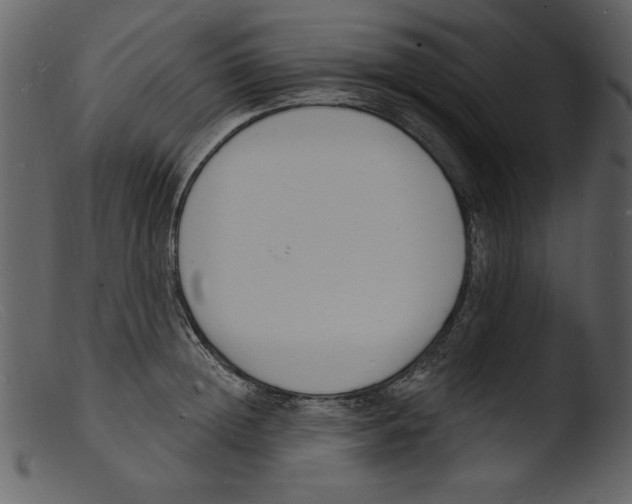 X0000103300852200809261312