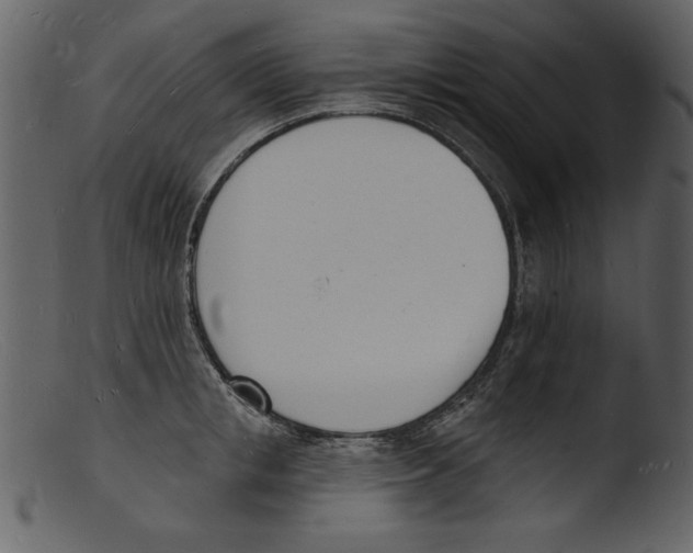 X0000103300853200809261312