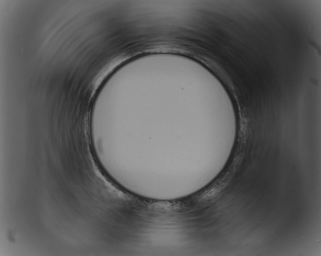 X0000103300855200809261312