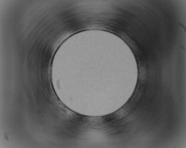 X0000103300856200809261312