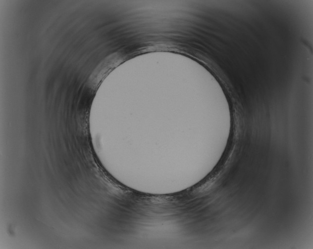 X0000103300857200809261312