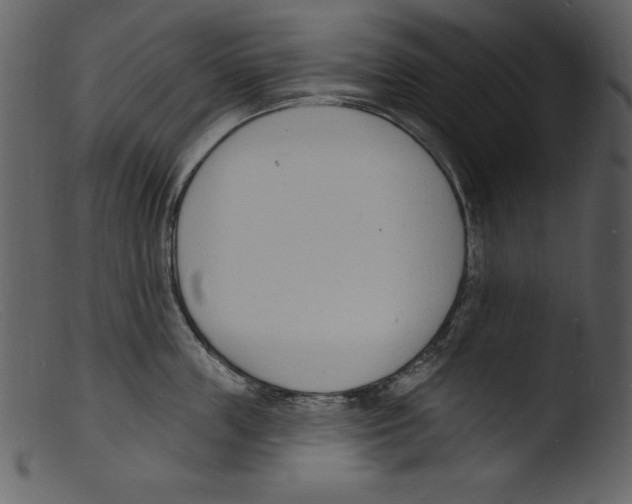X0000103300859200809261312