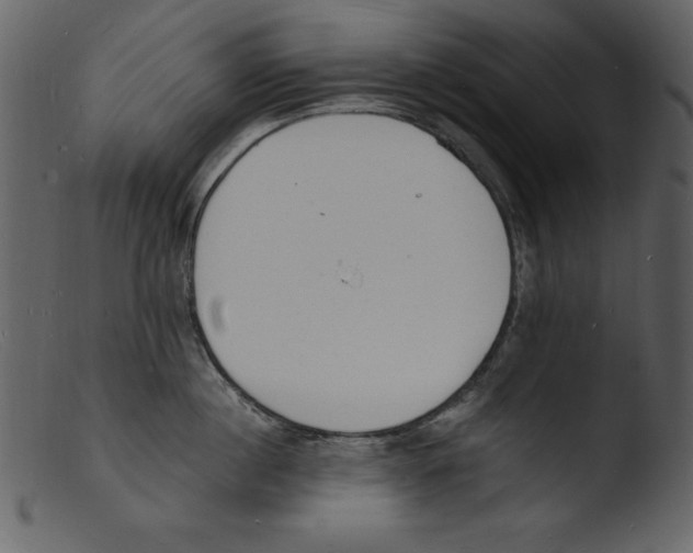 X0000103300860200809261312