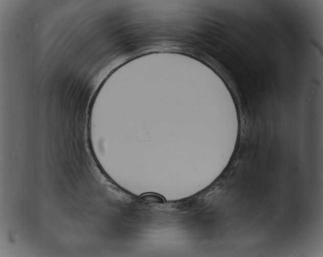 X0000103300861200809261312