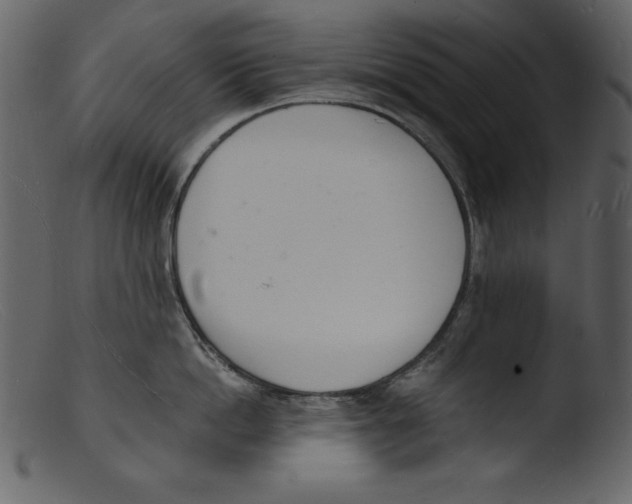 X0000103300862200809261312