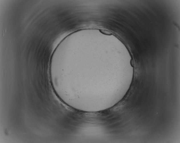 X0000103300863200809261312