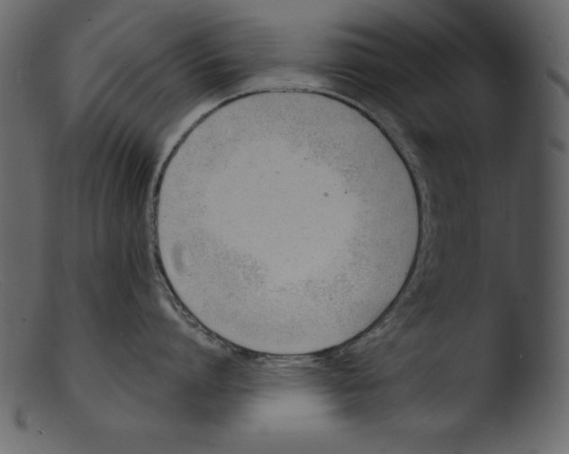 X0000103300864200809261312
