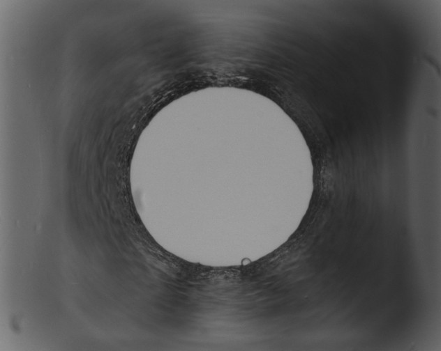 X0000103300865200809261311