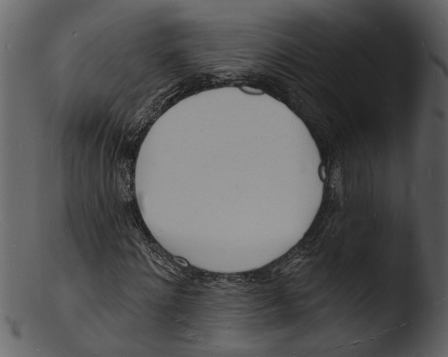X0000103300868200809261311
