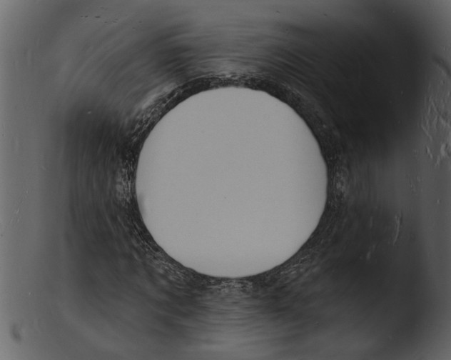X0000103300869200809261311