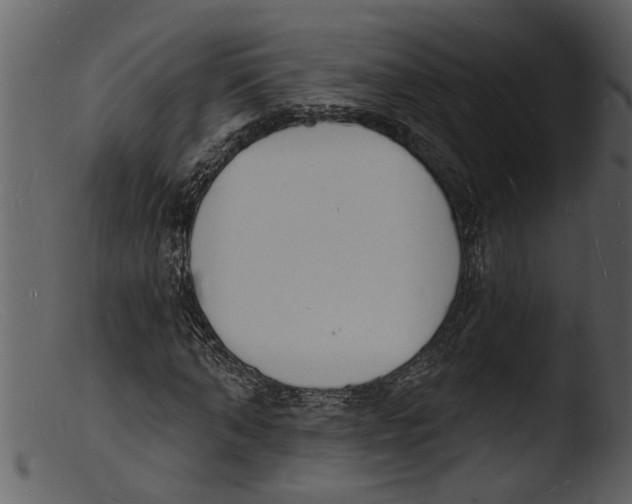 X0000103300870200809261311