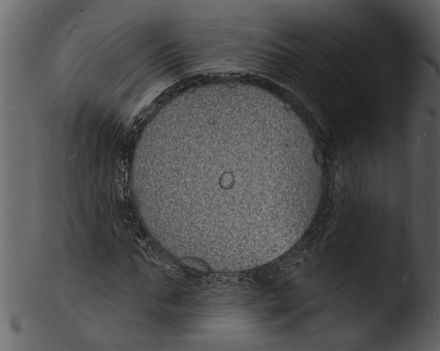 X0000103300871200809261311