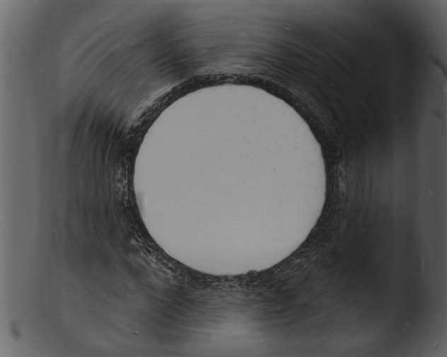 X0000103300872200809261311