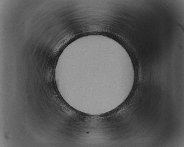 X0000103300873200809261311