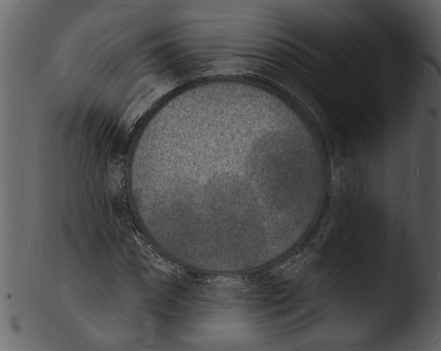 X0000103300874200809261311