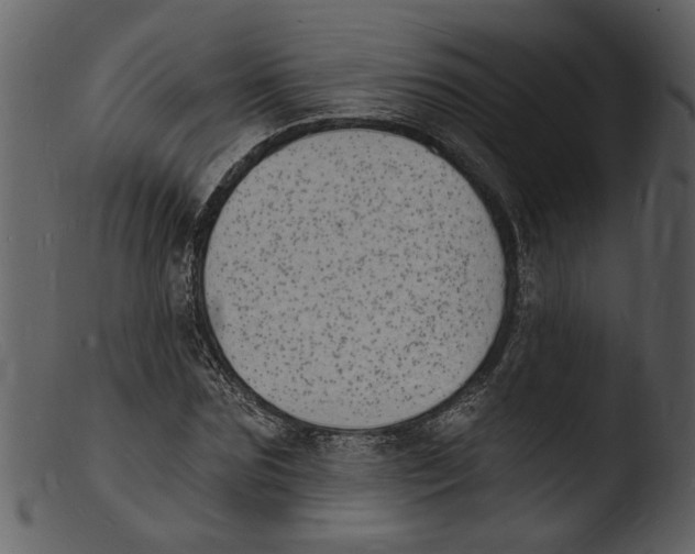 X0000103300875200809261311
