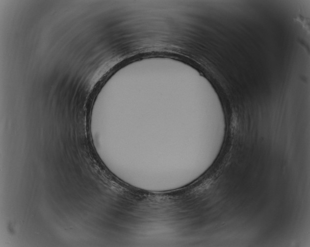 X0000103300877200809261311