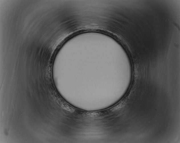 X0000103300879200809261311
